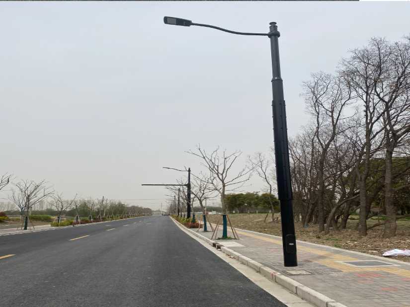 囊谦县上海综合杆 太阳能路灯工程